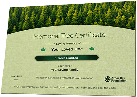 Plant Trees in Memory of Ossie Lee Turner